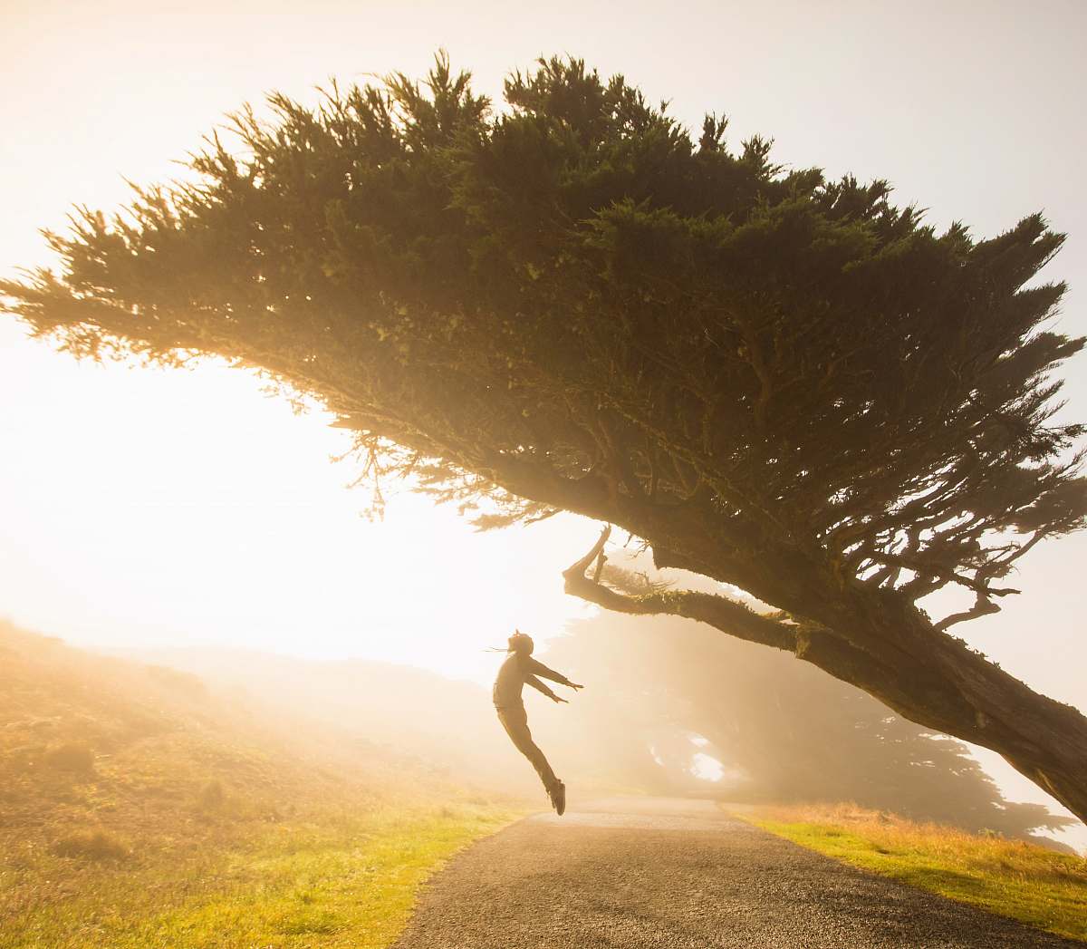 inverness silhouette of person jumping under tree united states